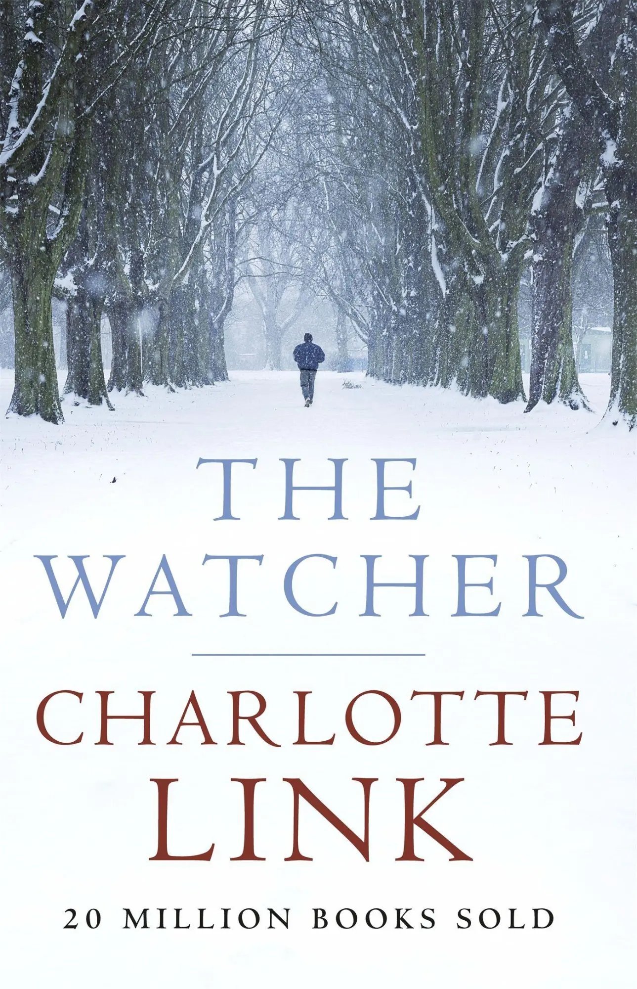Cover: 9781409121220 | The Watcher | Charlotte Link | Taschenbuch | 416 S. | Englisch | 2014