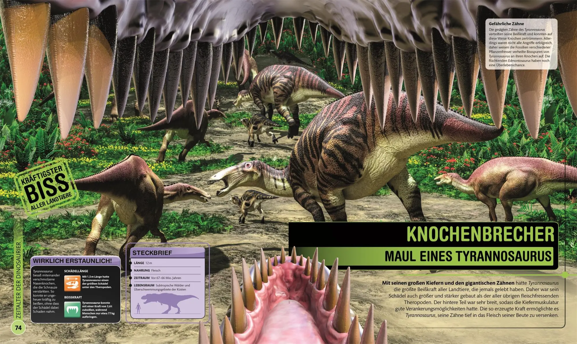 Bild: 9783831041220 | Super-Dinos | DK Verlag - Kids | Buch | 192 S. | Deutsch | 2021