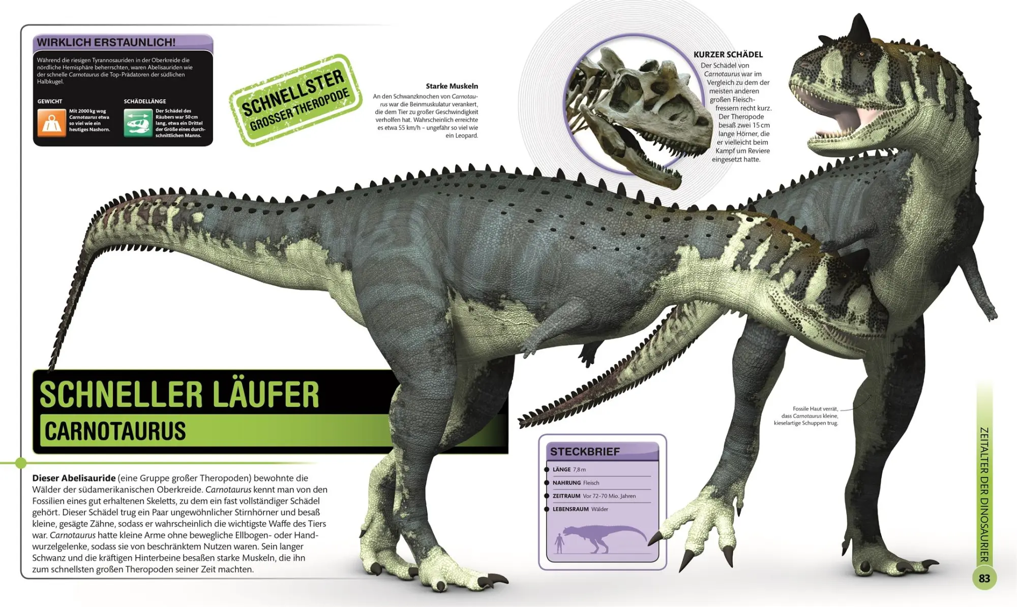 Bild: 9783831041220 | Super-Dinos | DK Verlag - Kids | Buch | 192 S. | Deutsch | 2021