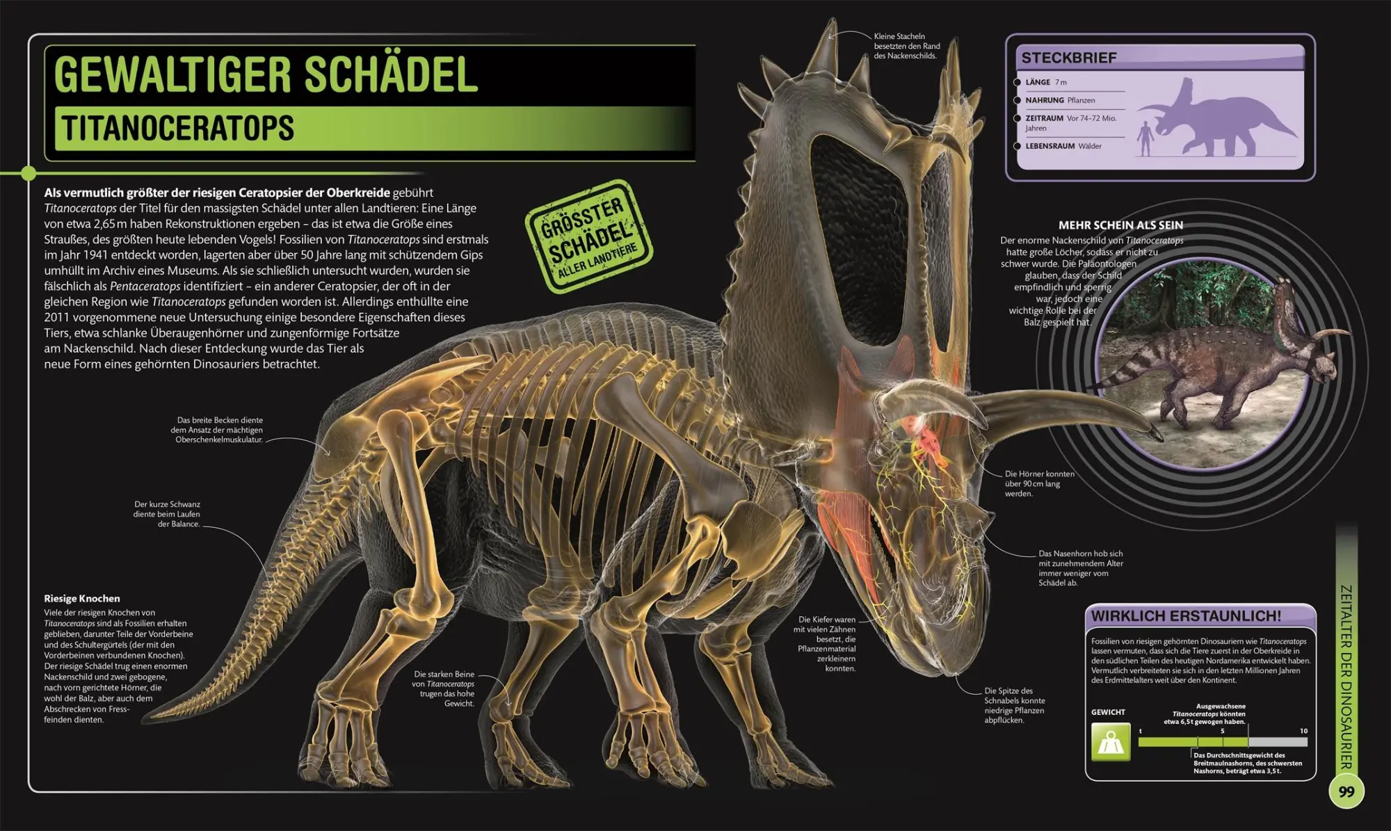 Bild: 9783831041220 | Super-Dinos | DK Verlag - Kids | Buch | 192 S. | Deutsch | 2021