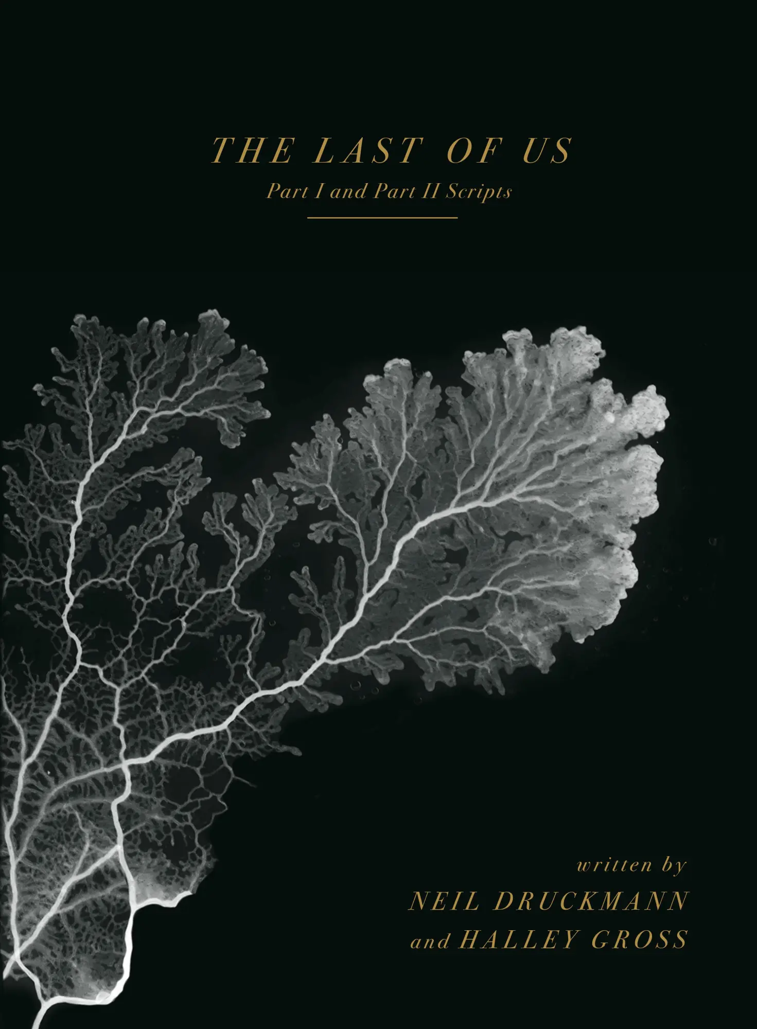 Cover: 9781506751320 | The Last of Us: Part I and Part II Scripts | Neil Druckmann (u. a.)