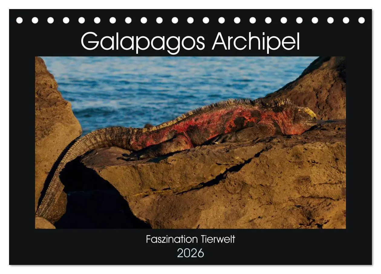 Cover: 9783516141320 | Galapagos Archipel- Faszination Tierwelt (Tischkalender 2026 DIN A5...