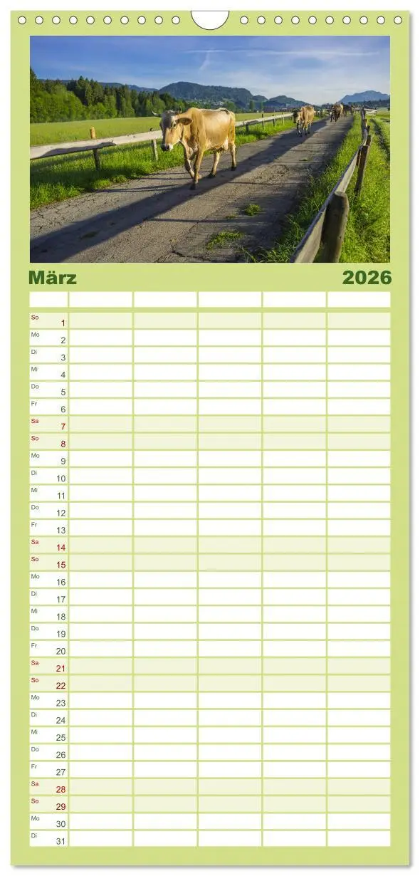 Bild: 9783516521320 | Familienplaner 2026 - Allgäuer Schönheiten Allgäu - Land der Kühe...