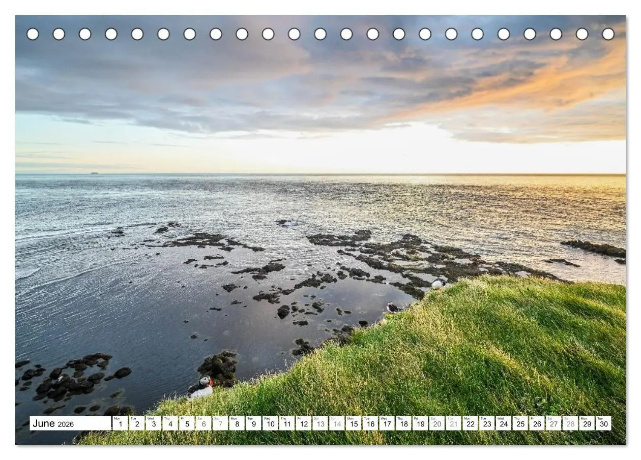 Bild: 9783516691320 | Puffins in Iceland (Desk Calendar 2026 DIN A5 landscape), CALVENDO...
