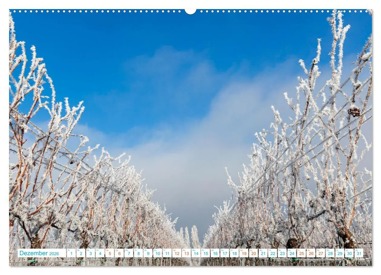Bild: 9783457351420 | Freinsheim - So Wunderbar (Wandkalender 2026 DIN A2 quer), CALVENDO...
