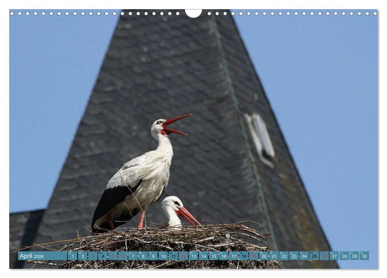 Bild: 9783457731420 | Hannoversches Wendland Verträumtes Landleben (Wandkalender 2026 DIN...