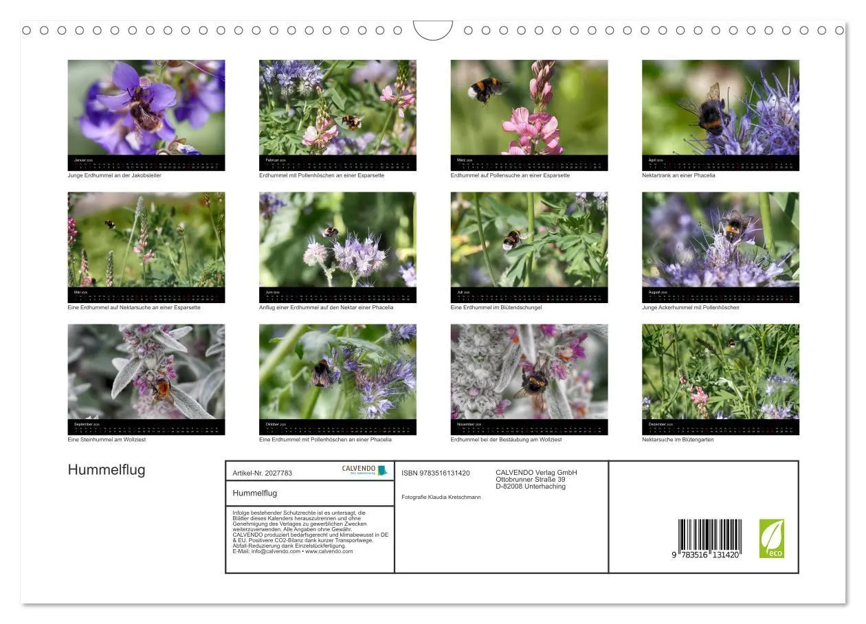 Bild: 9783516131420 | Hummelflug (Wandkalender 2026 DIN A3 quer), CALVENDO Monatskalender