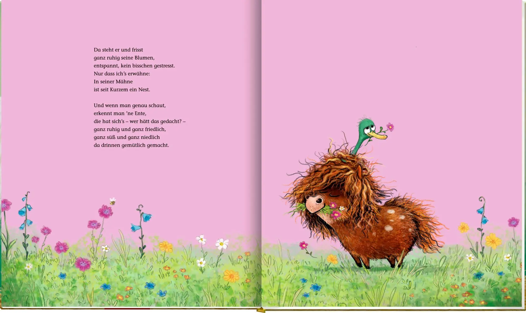 Bild: 9783649651420 | Ronny, das Pony, (Bd. 2) | und Gerd, das Pferd, und Bente, die Ente
