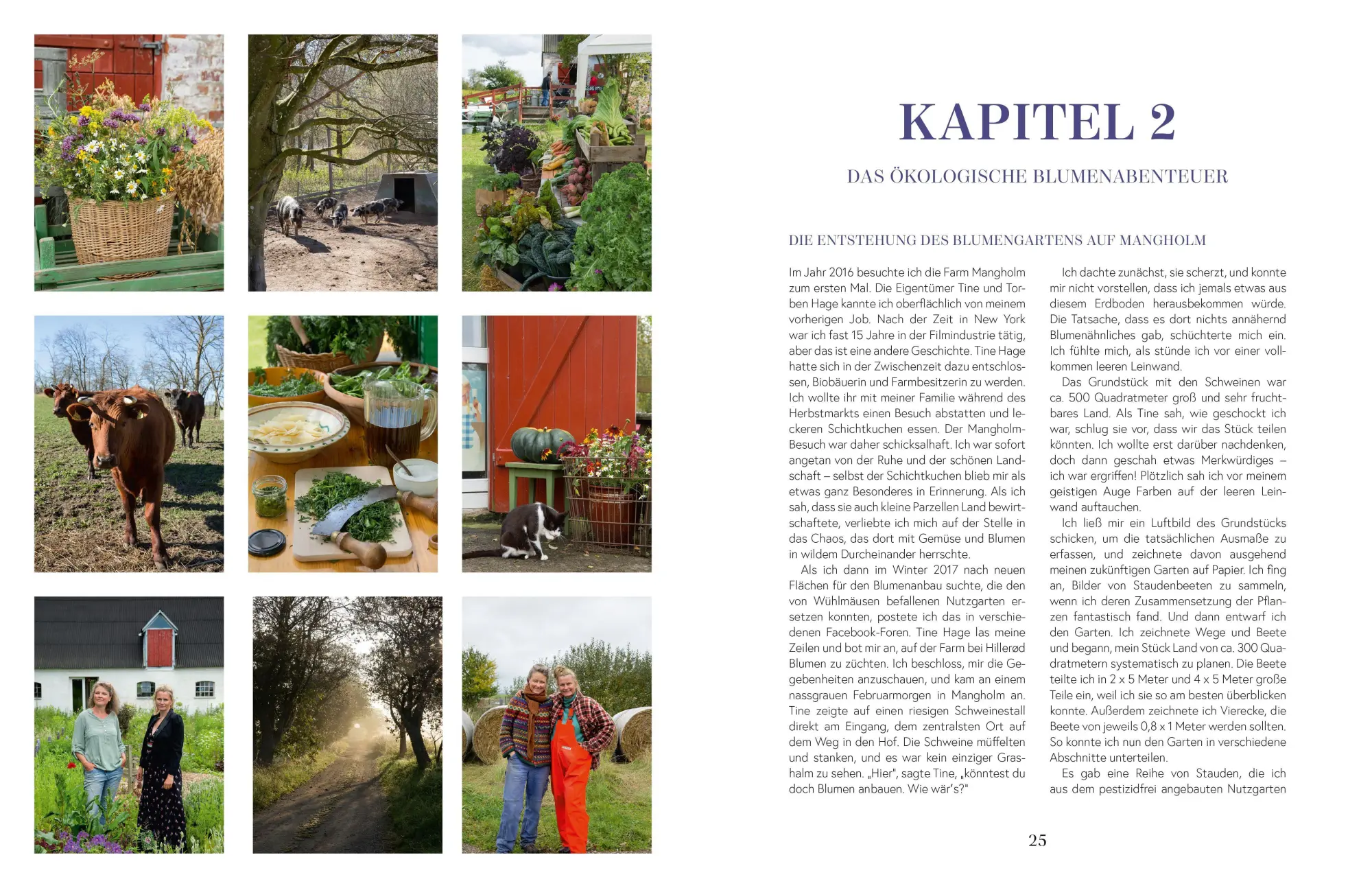 Bild: 9783965841420 | Flowers | Rikke Lentz | Buch | 248 S. | Deutsch | 2022 | ZS