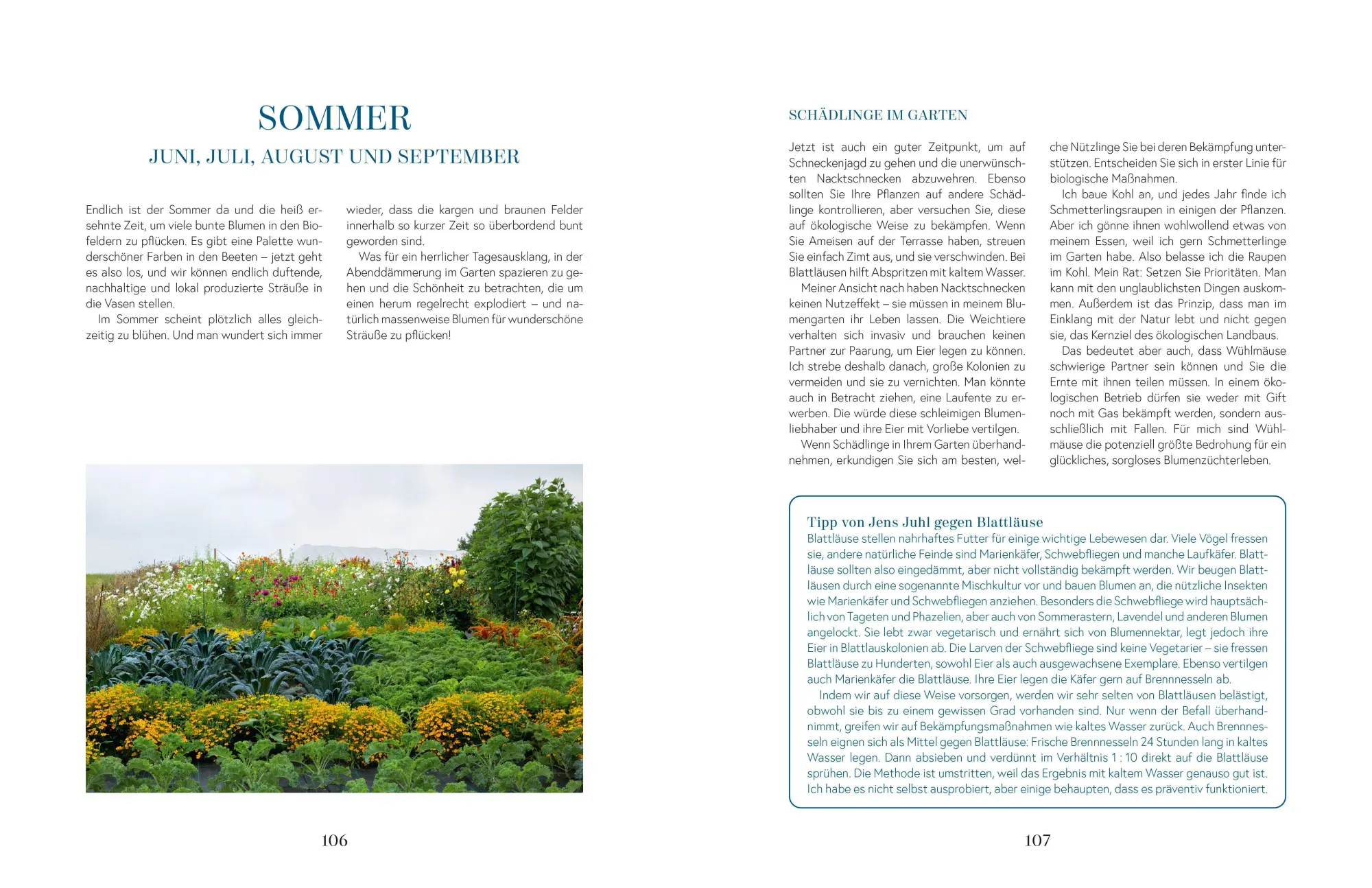 Bild: 9783965841420 | Flowers | Rikke Lentz | Buch | 248 S. | Deutsch | 2022 | ZS