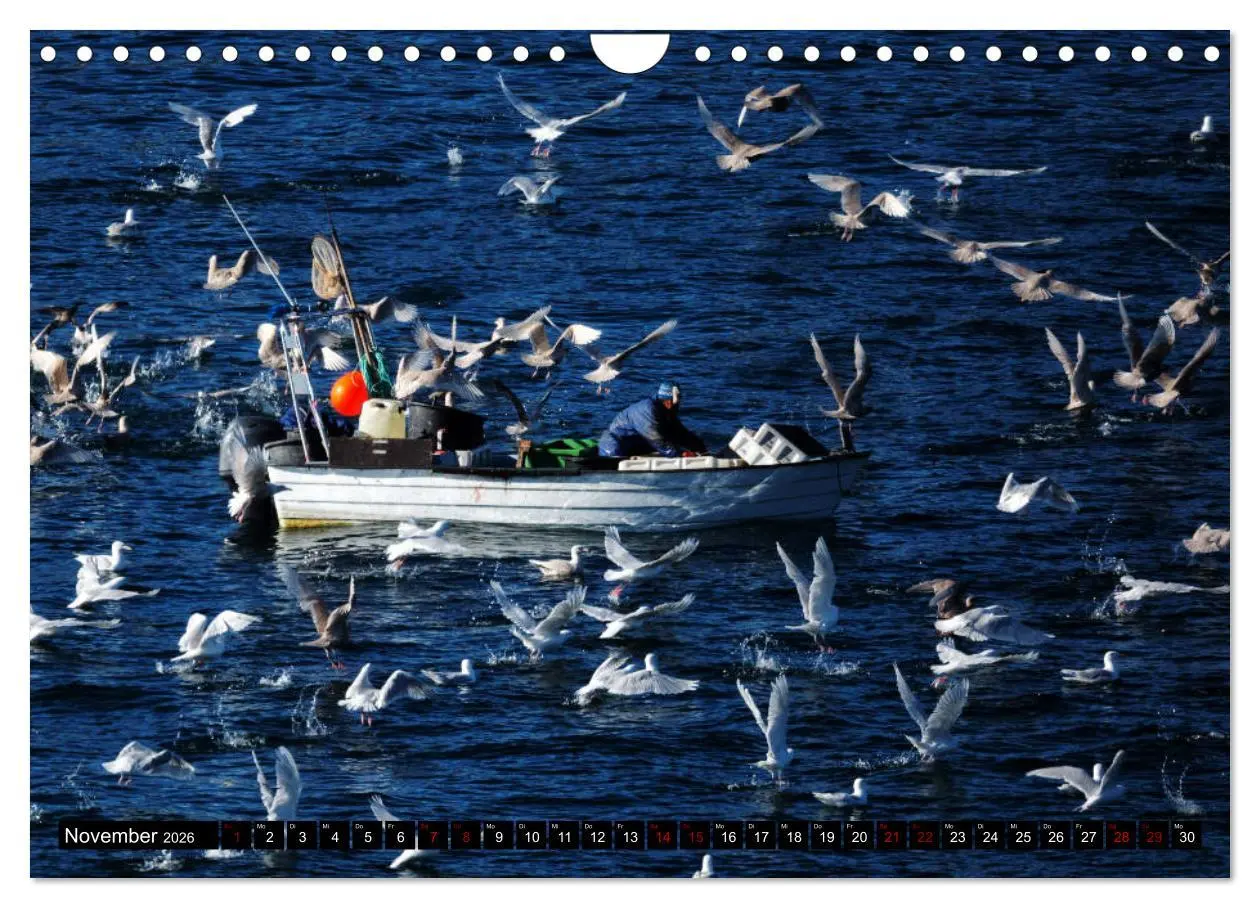 Bild: 9783457891520 | GRÖNLAND Eisfjord und Diskobucht (Wandkalender 2026 DIN A4 quer),...