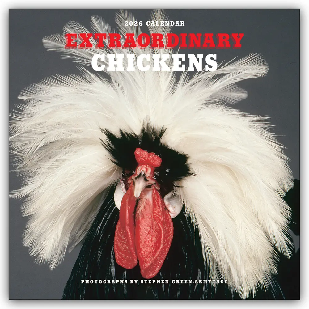 Cover: 9783803531520 | Extraordinary Chickens - Außergewöhnliche Hühner 2026 -...