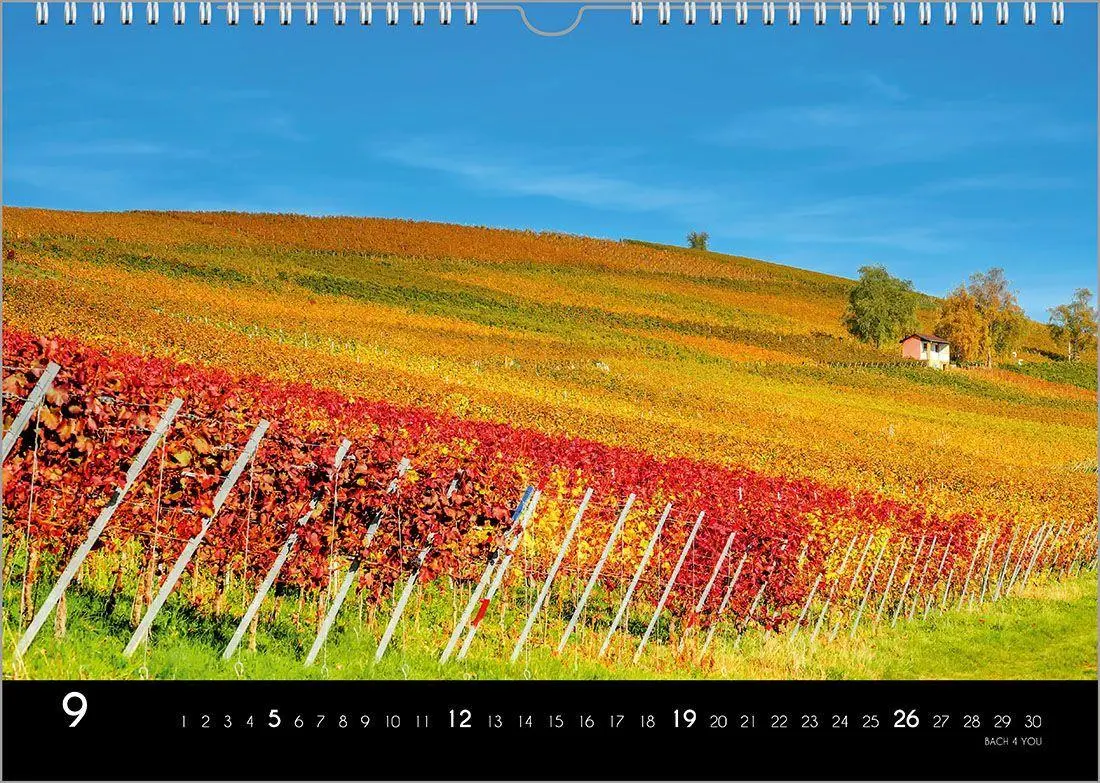 Bild: 9783969031520 | Der Weinkalender 2027, DIN A3 - ein Fotokalender | Peter Bach Jr.