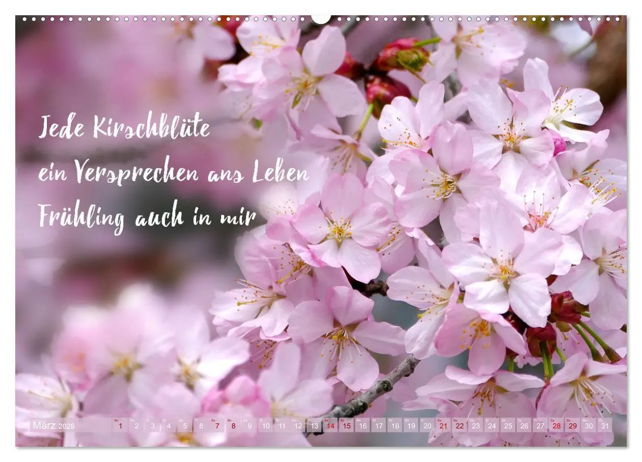 Bild: 9783457401620 | Haiku Poesie in Wort und Bild (hochwertiger Premium Wandkalender...