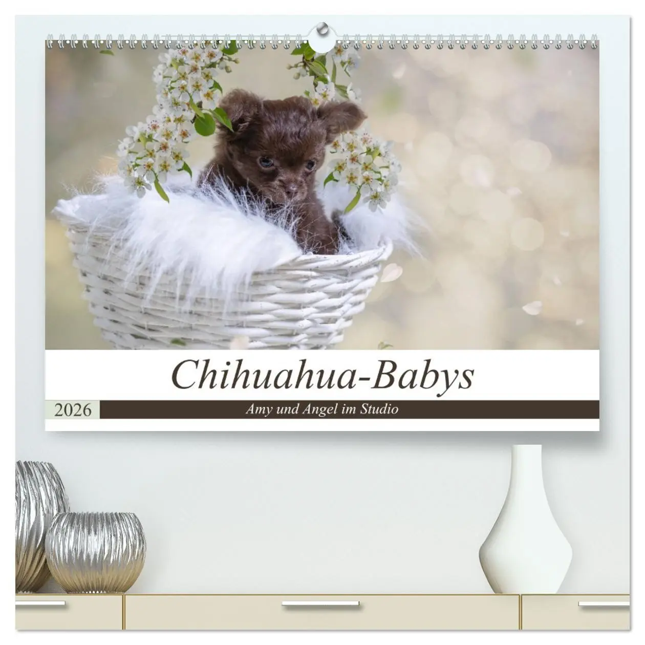 Cover: 9783457711620 | Chihuahua-Babys - Amy und Angel im Studio (hochwertiger Premium...