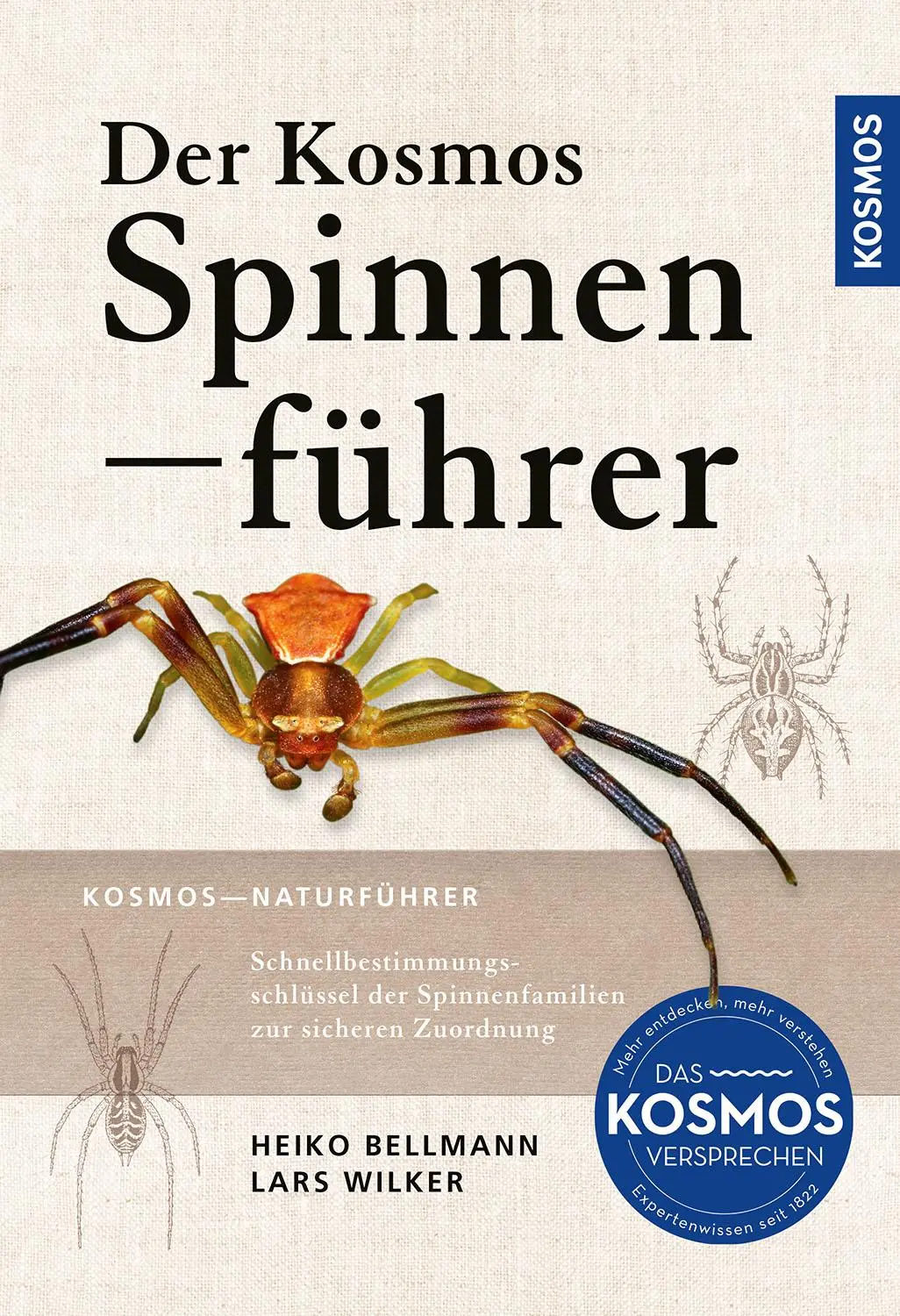 Cover: 9783440181720 | Der Kosmos Spinnenführer | Heiko Bellmann (u. a.) | Taschenbuch | 2025