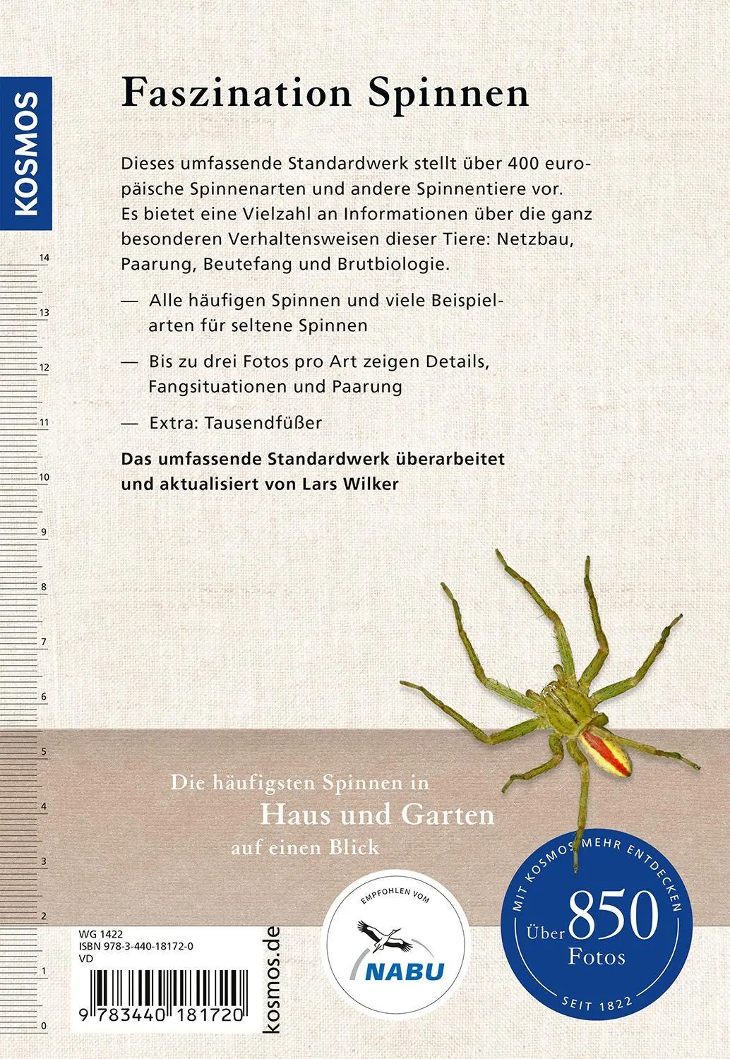 Bild: 9783440181720 | Der Kosmos Spinnenführer | Heiko Bellmann (u. a.) | Taschenbuch | 2025