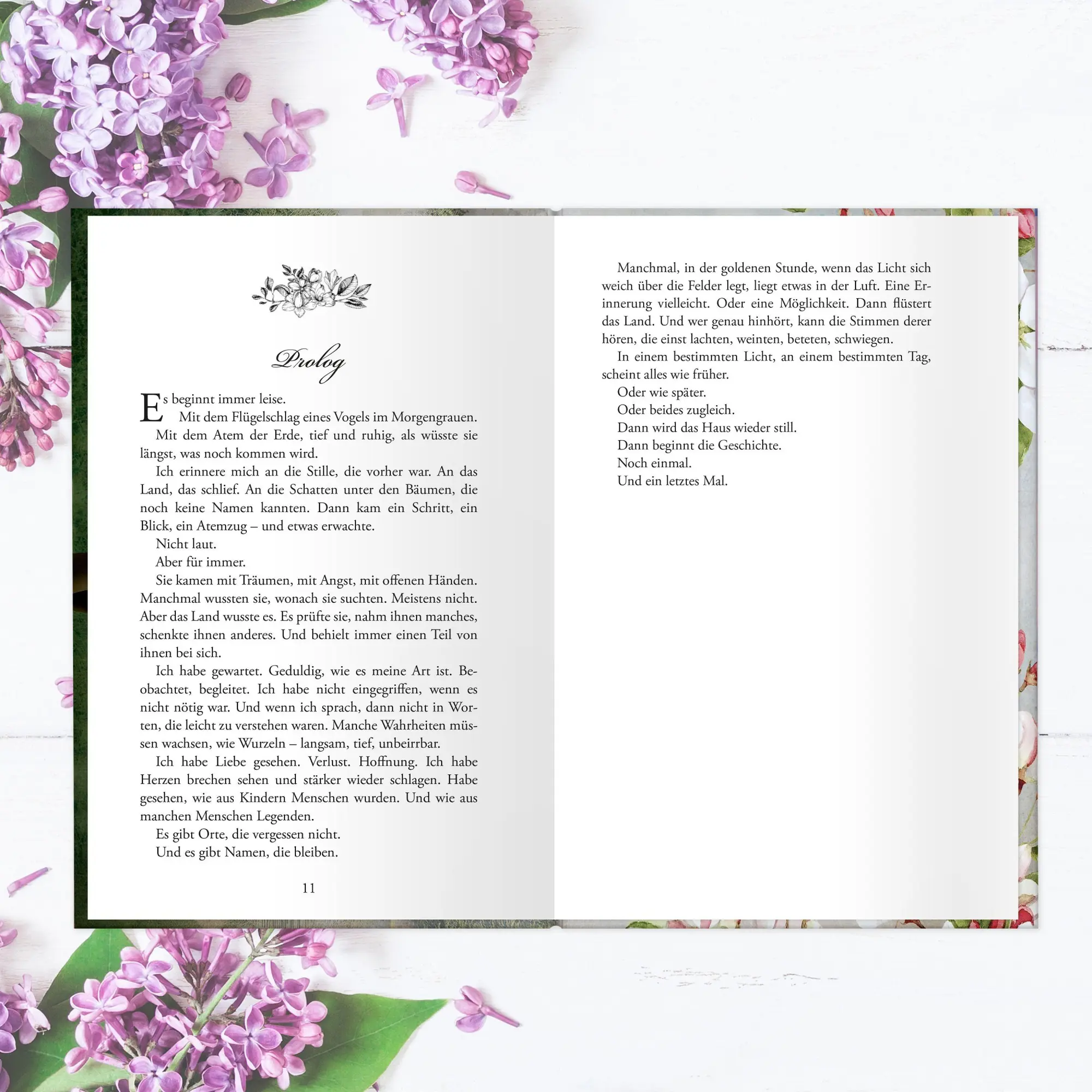 Bild: 9783986601720 | Morgan's Hall Eisland | (Die Morgan-Saga 7) | Emilia Flynn | Buch