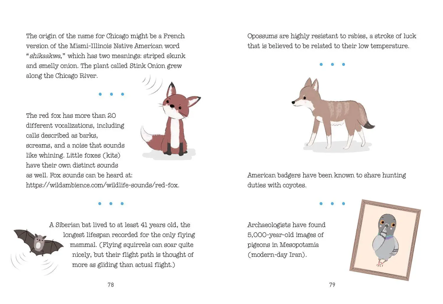 Bild: 9780008761820 | Trash Animals | The animal weirdos we secretly love | Rachel Federman