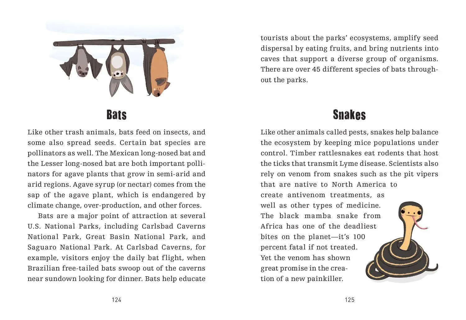 Bild: 9780008761820 | Trash Animals | The animal weirdos we secretly love | Rachel Federman