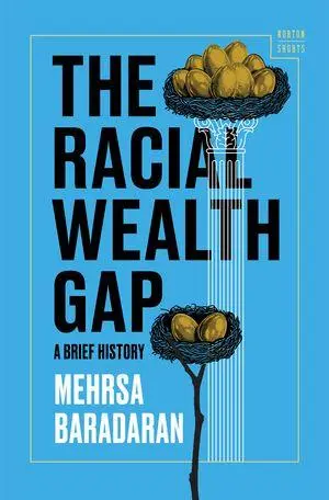 Cover: 9780393881820 | The Racial Wealth Gap | A Brief History | Mehrsa Baradaran | Buch