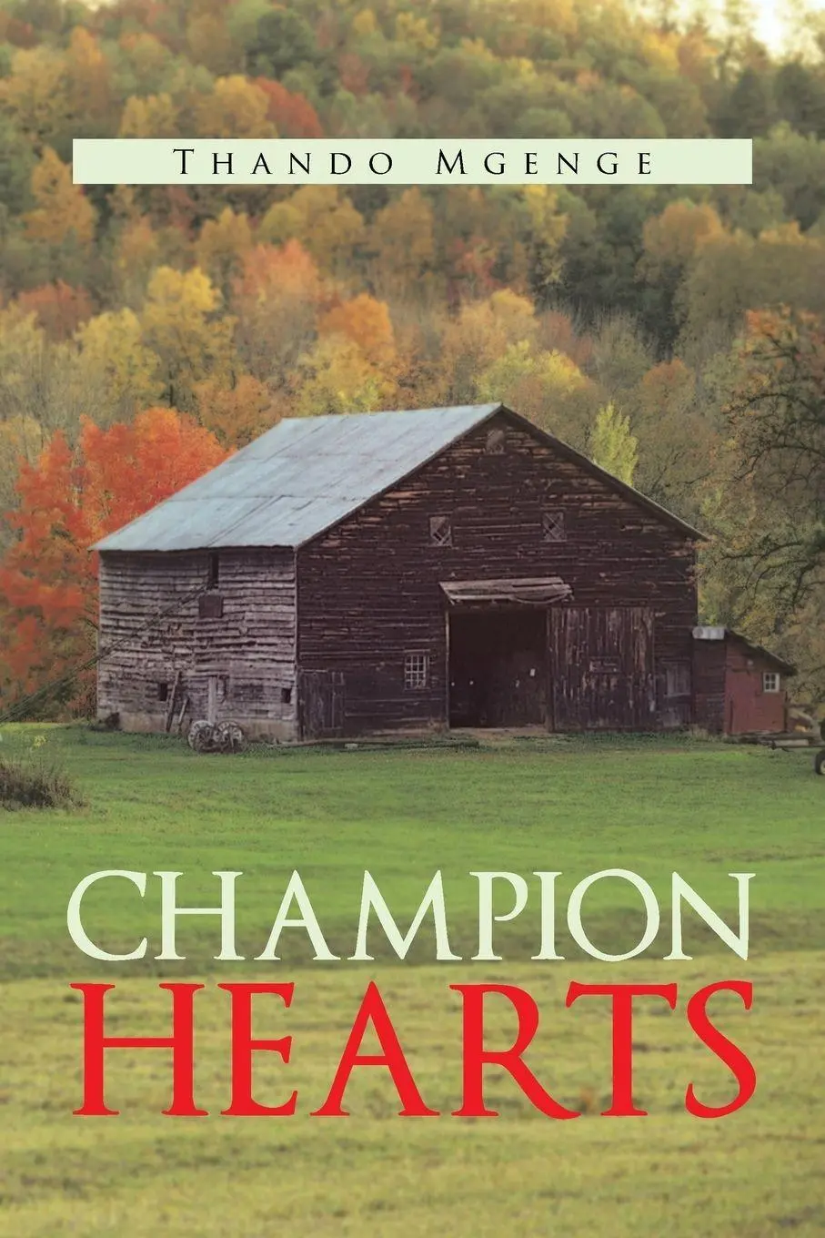Cover: 9781477241820 | Champion Hearts | Thando Mgenge | Taschenbuch | Englisch | 2013