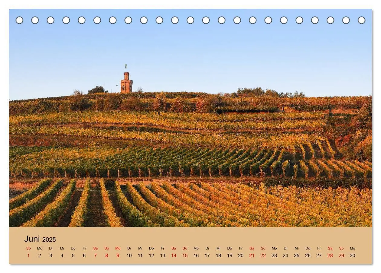 Bild: 9783435151820 | Bad Dürkheimer Ansichten (Tischkalender 2025 DIN A5 quer), CALVENDO...