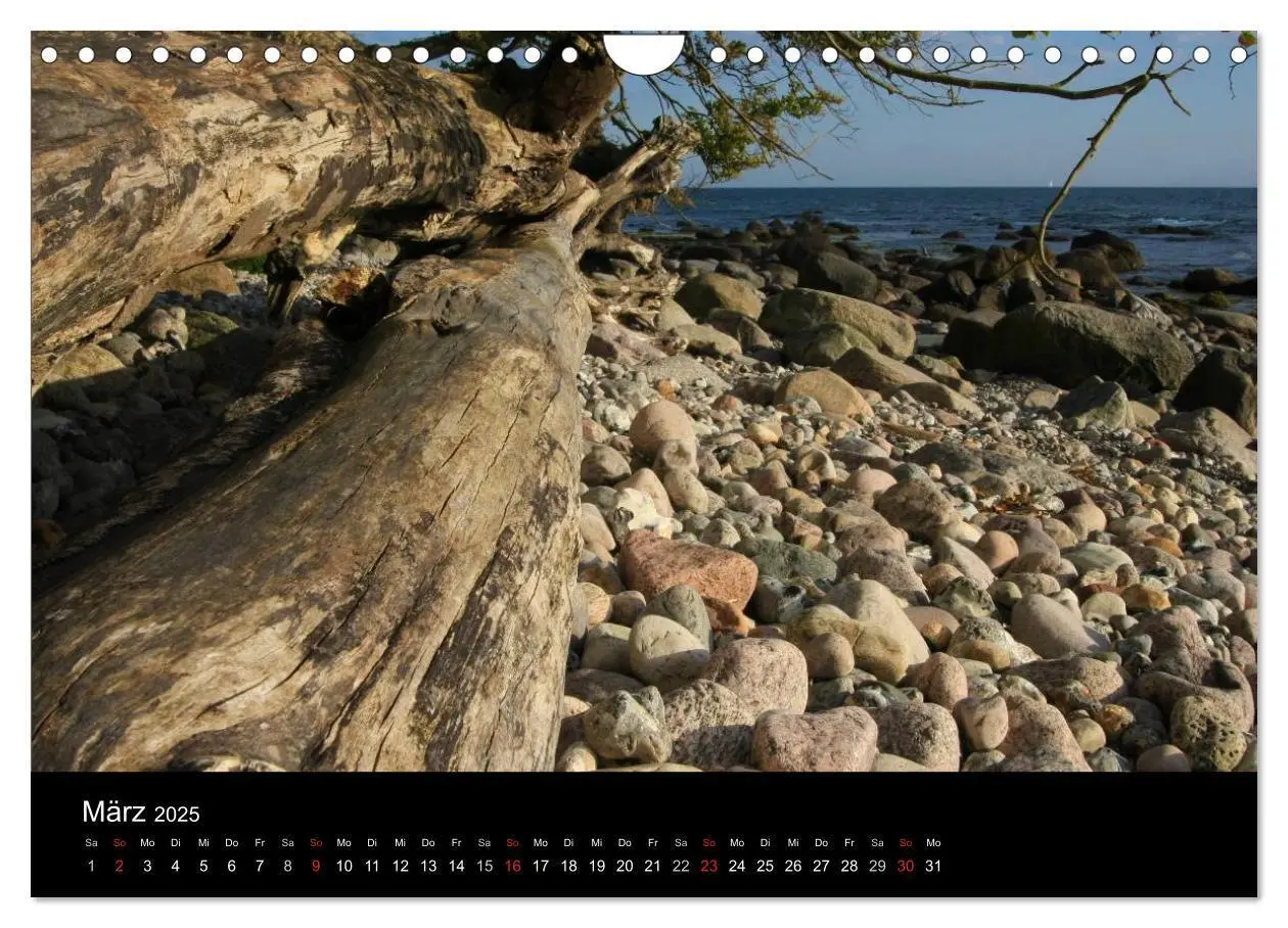 Bild: 9783435841820 | Rügen (Wandkalender 2025 DIN A4 quer), CALVENDO Monatskalender | 2025