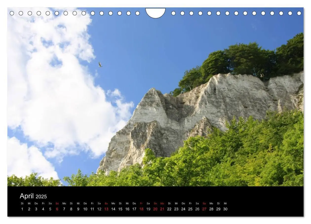 Bild: 9783435841820 | Rügen (Wandkalender 2025 DIN A4 quer), CALVENDO Monatskalender | 2025