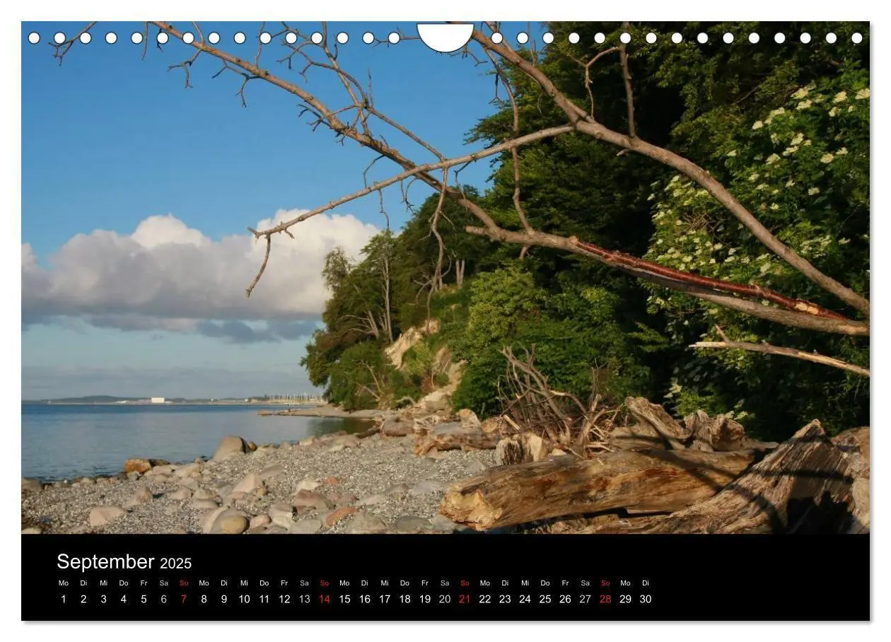 Bild: 9783435841820 | Rügen (Wandkalender 2025 DIN A4 quer), CALVENDO Monatskalender | 2025