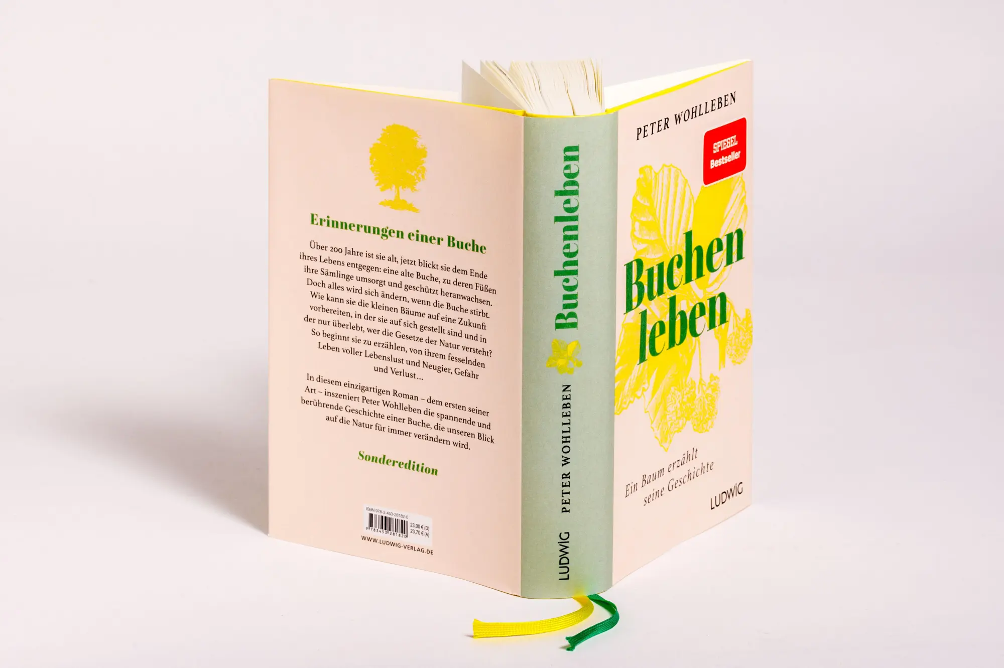 Bild: 9783453281820 | Sonderedition: Buchenleben | Peter Wohlleben | Buch | 352 S. | Deutsch