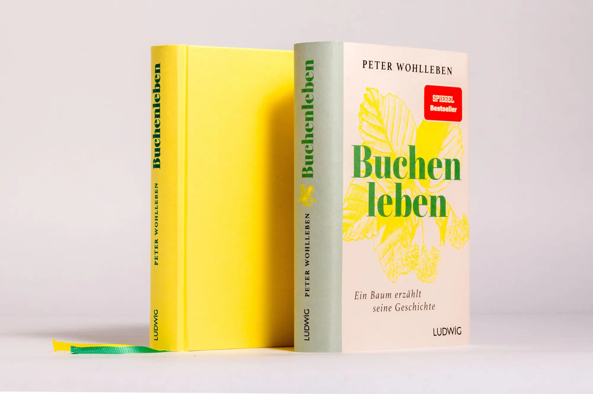 Bild: 9783453281820 | Sonderedition: Buchenleben | Peter Wohlleben | Buch | 352 S. | Deutsch