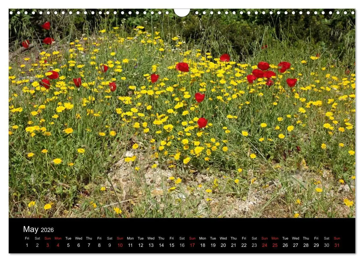 Bild: 9783516571820 | The Greek Island Of Ikaria (Wall Calendar 2026 DIN A3 landscape),...