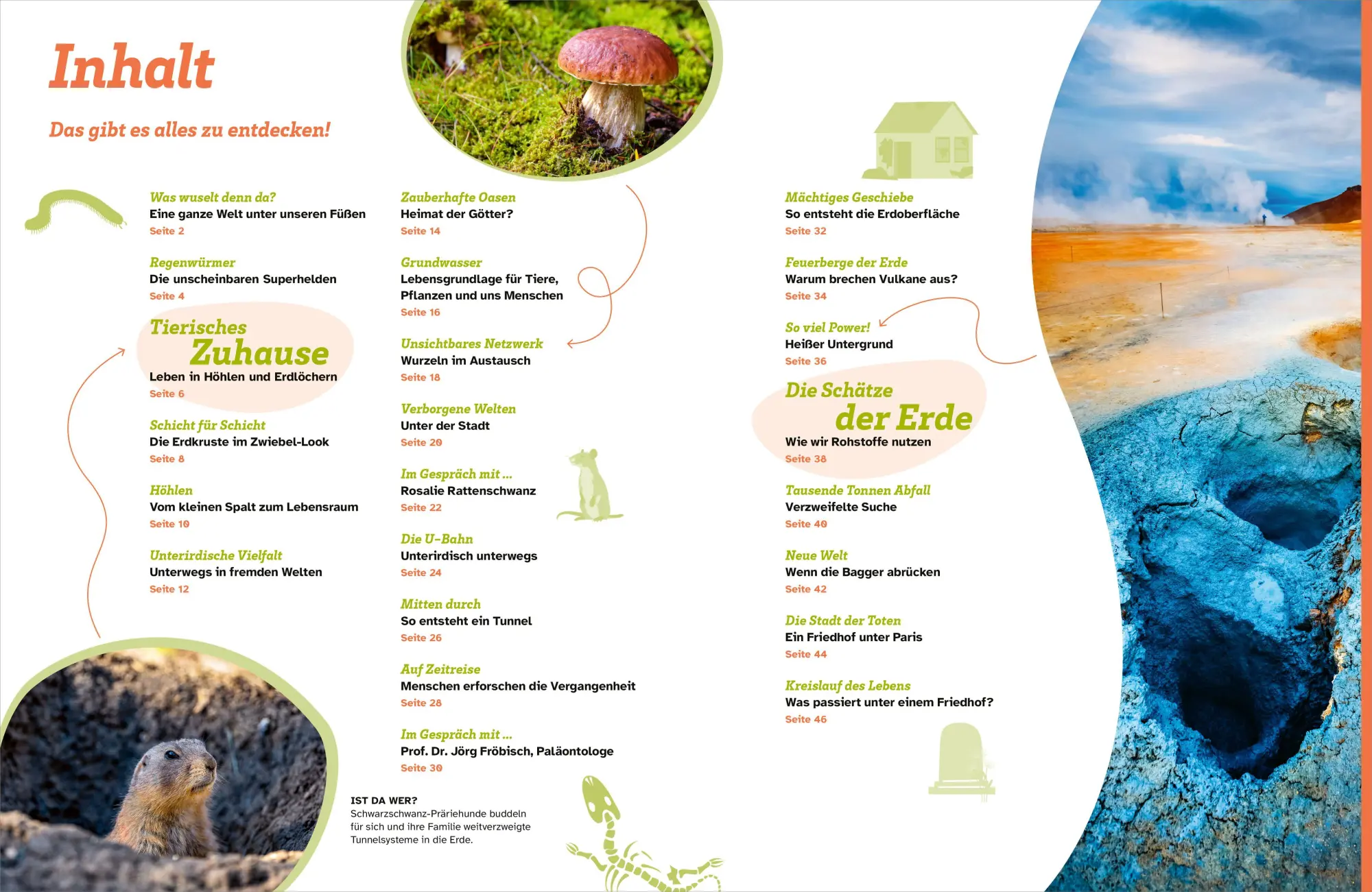 Bild: 9783788681920 | WAS IST WAS Unter der Erde. Verborgene Welten | Florian Sturm | Buch