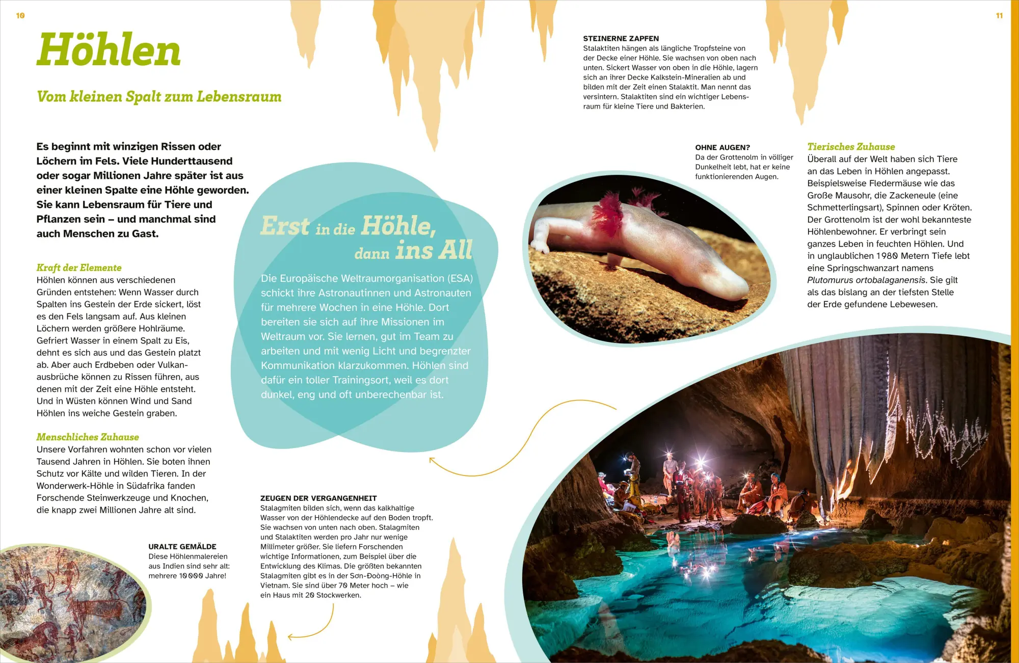 Bild: 9783788681920 | WAS IST WAS Unter der Erde. Verborgene Welten | Florian Sturm | Buch