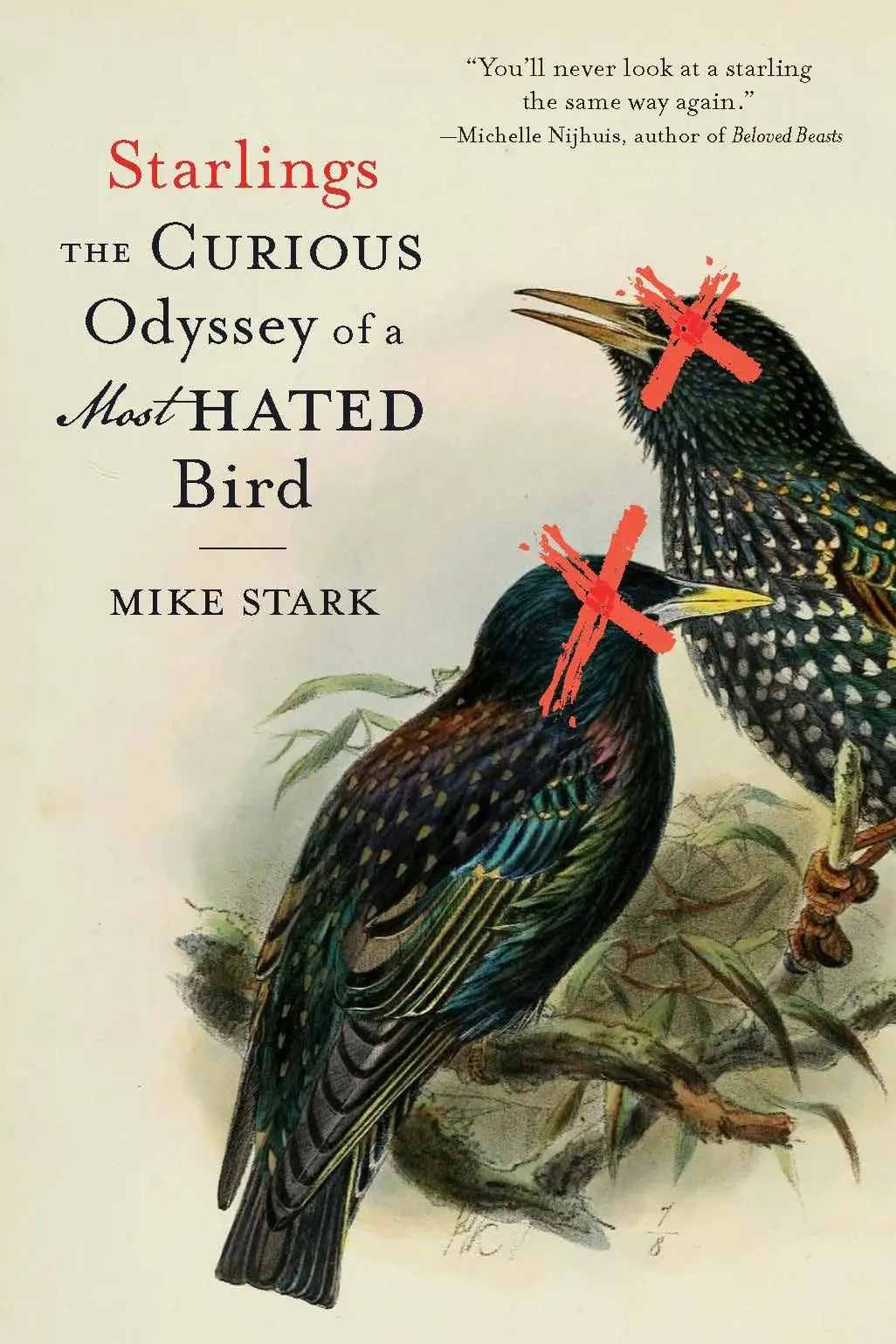 Cover: 9781496242020 | Starlings | The Curious Odyssey of a Most Hated Bird | Mike Stark