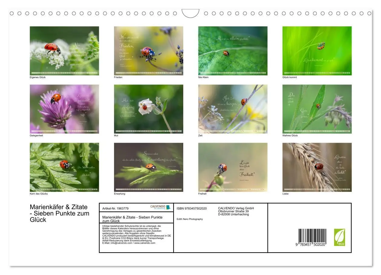 Bild: 9783457502020 | Marienkäfer &amp; Zitate - Sieben Punkte zum Glück (Wandkalender 2026...
