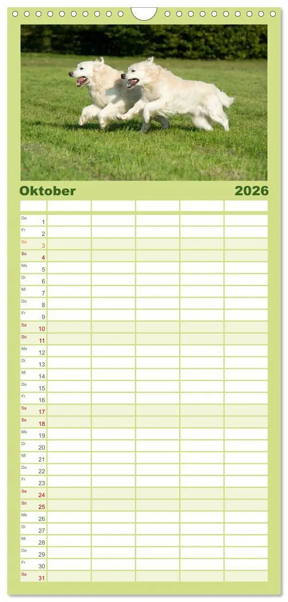 Bild: 9783516522020 | Familienplaner 2026 - Golden Retriever mit 5 Spalten (Wandkalender,...
