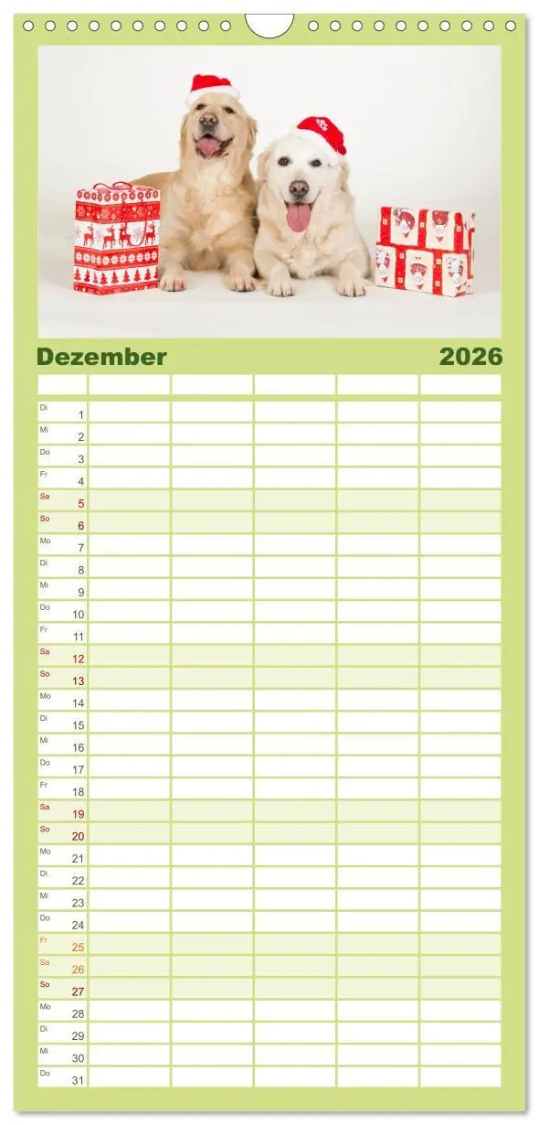 Bild: 9783516522020 | Familienplaner 2026 - Golden Retriever mit 5 Spalten (Wandkalender,...