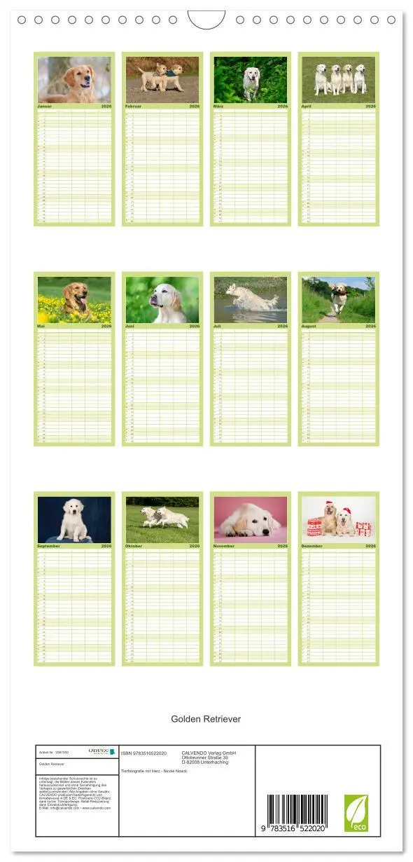 Bild: 9783516522020 | Familienplaner 2026 - Golden Retriever mit 5 Spalten (Wandkalender,...