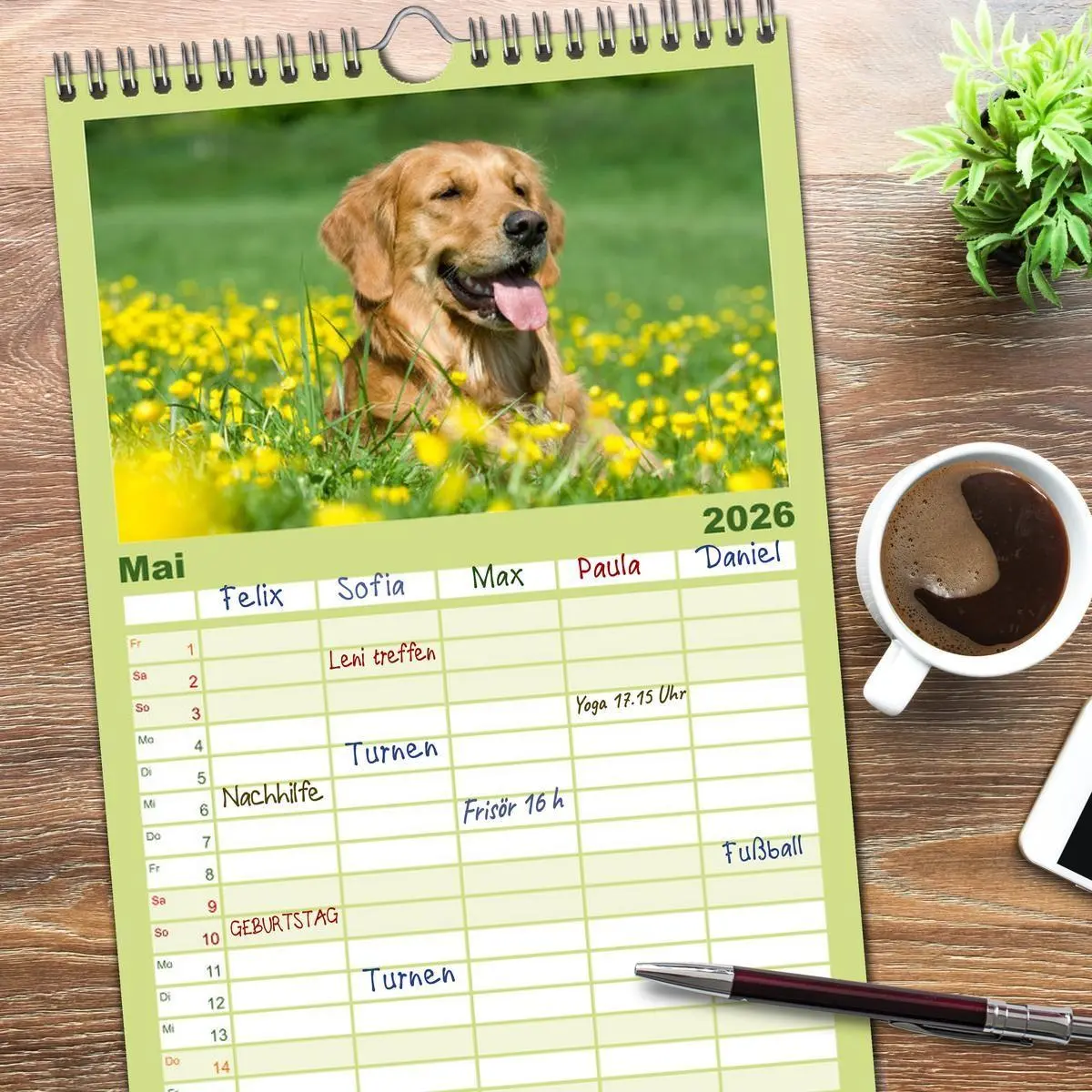 Bild: 9783516522020 | Familienplaner 2026 - Golden Retriever mit 5 Spalten (Wandkalender,...