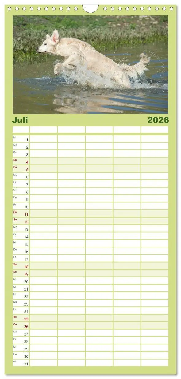 Bild: 9783516522020 | Familienplaner 2026 - Golden Retriever mit 5 Spalten (Wandkalender,...