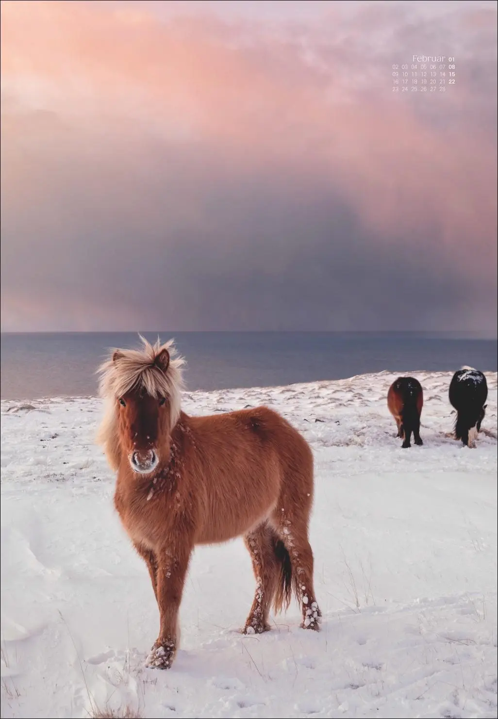 Bild: 9783756412020 | Scandinavian Dreams Posterkalender 2026 | Marcel Weber | Kalender