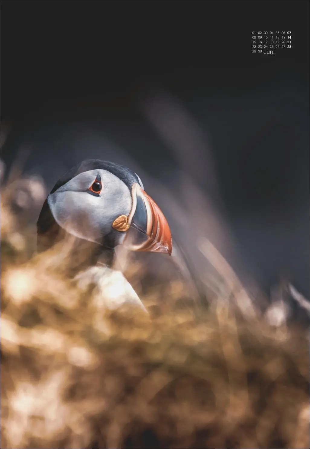 Bild: 9783756412020 | Scandinavian Dreams Posterkalender 2026 | Marcel Weber | Kalender