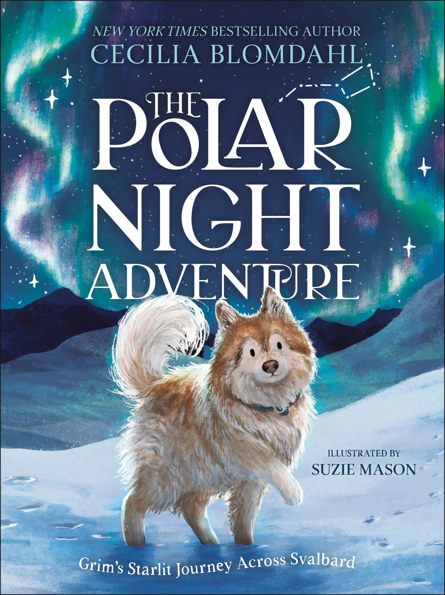Cover: 9780241802120 | The Polar Night Adventure | Grim's Starlit Journey Across Svalbard