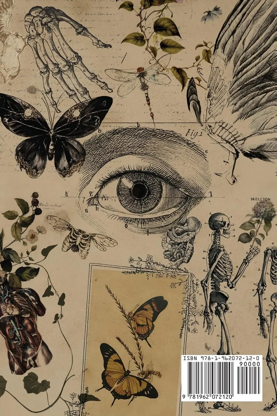 Rückseite: 9781962072120 | A Disease Called Poetry | Morbus Dictur Poetica | Melissa Combs | Buch