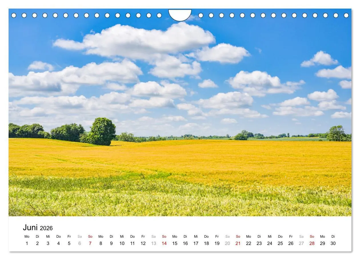 Bild: 9783457592120 | Schleswig-Holstein, ein Fest der Sinne (Wandkalender 2026 DIN A4...