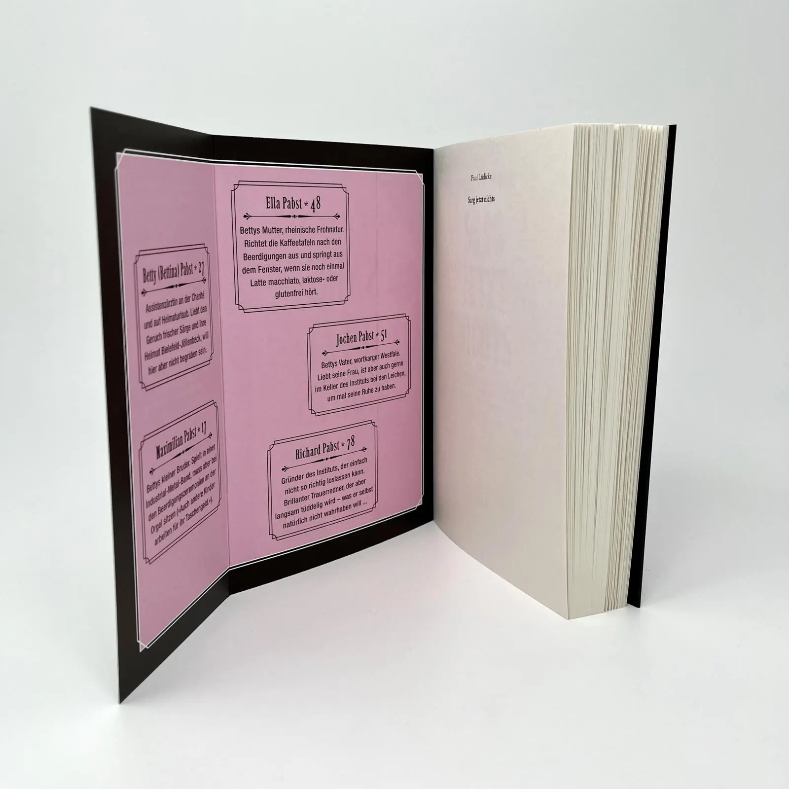 Bild: 9783864932120 | Sarg jetzt nichts | Paul Lüdicke | Taschenbuch | Betty-Pabst-Serie