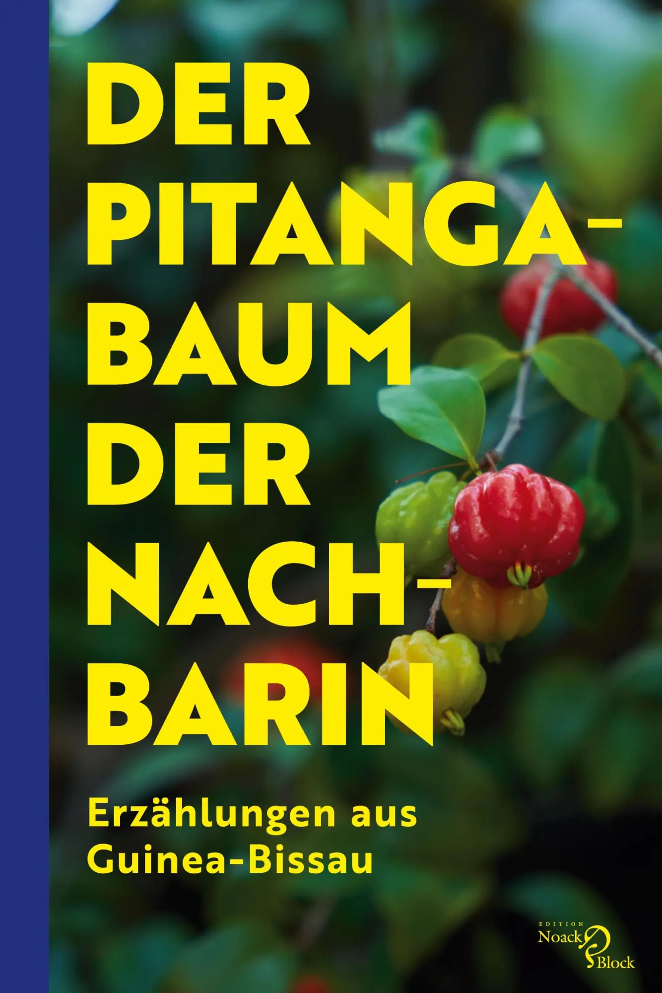 Cover: 9783868132120 | Der Pitangabaum der Nachbarin | Erzählungen aus Guinea-Bissau | Buch