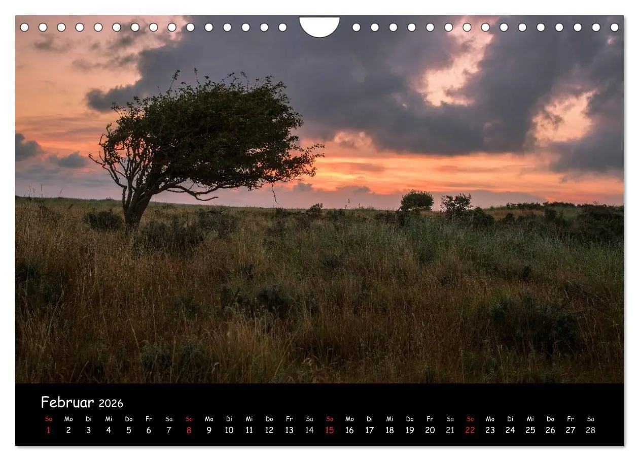 Bild: 9783516122220 | Unterwegs in Dänemark (Wandkalender 2026 DIN A4 quer), CALVENDO...